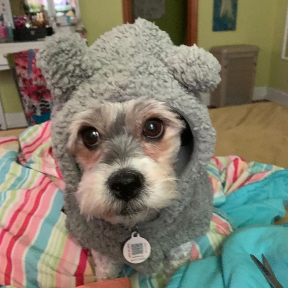 Meet your Posher, Lauren - Picture 10 of 13